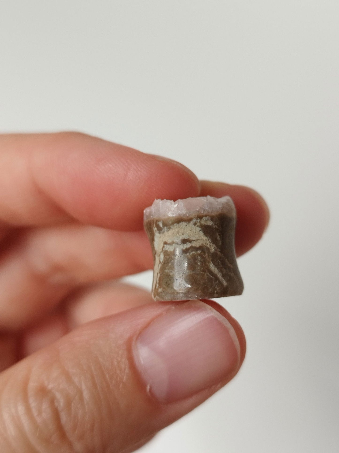 1/2" Dolomite Plugs - aeoplugs