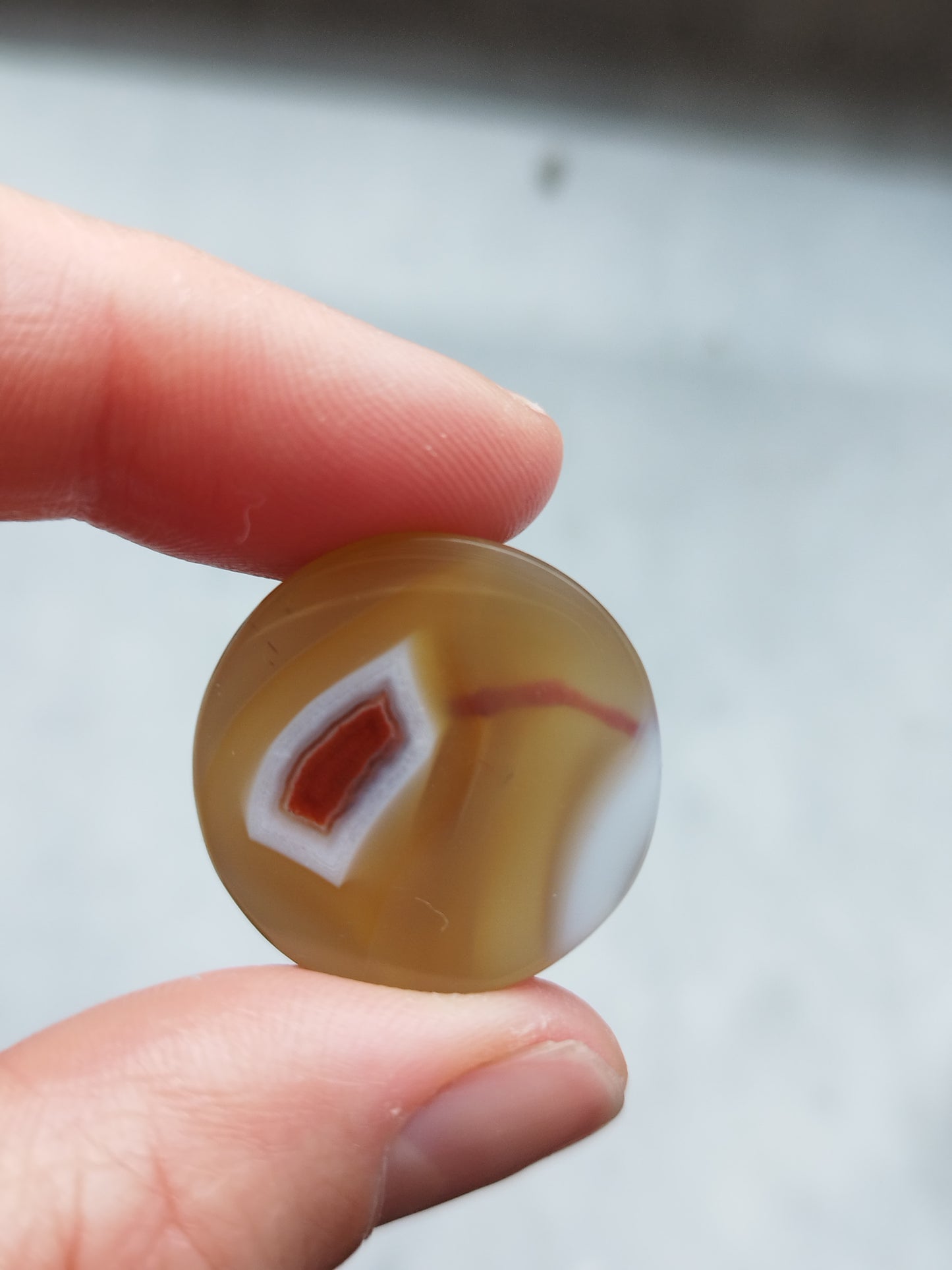 7/8" Malawi Agate Plugs