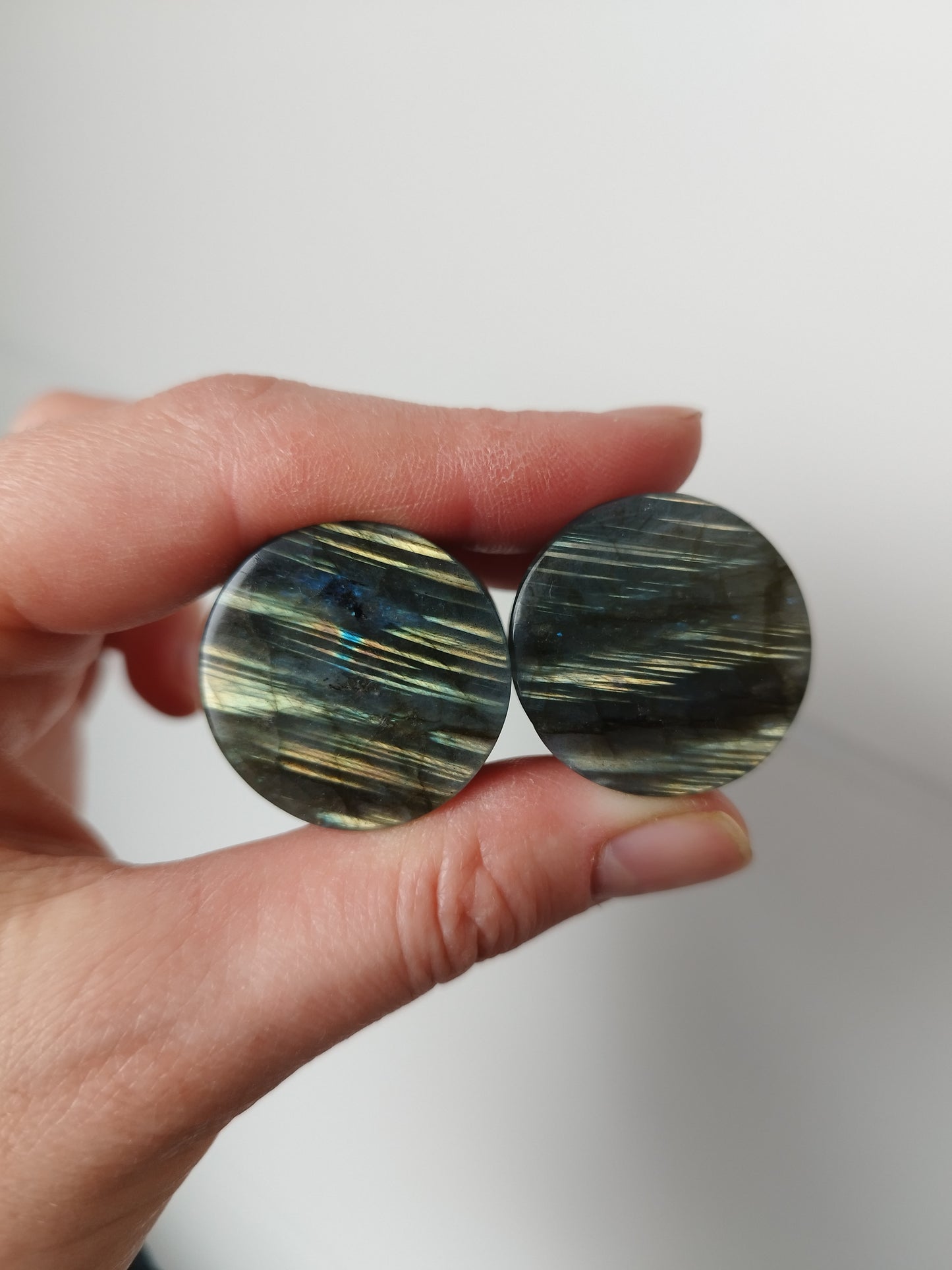 1" Labradorite Plugs