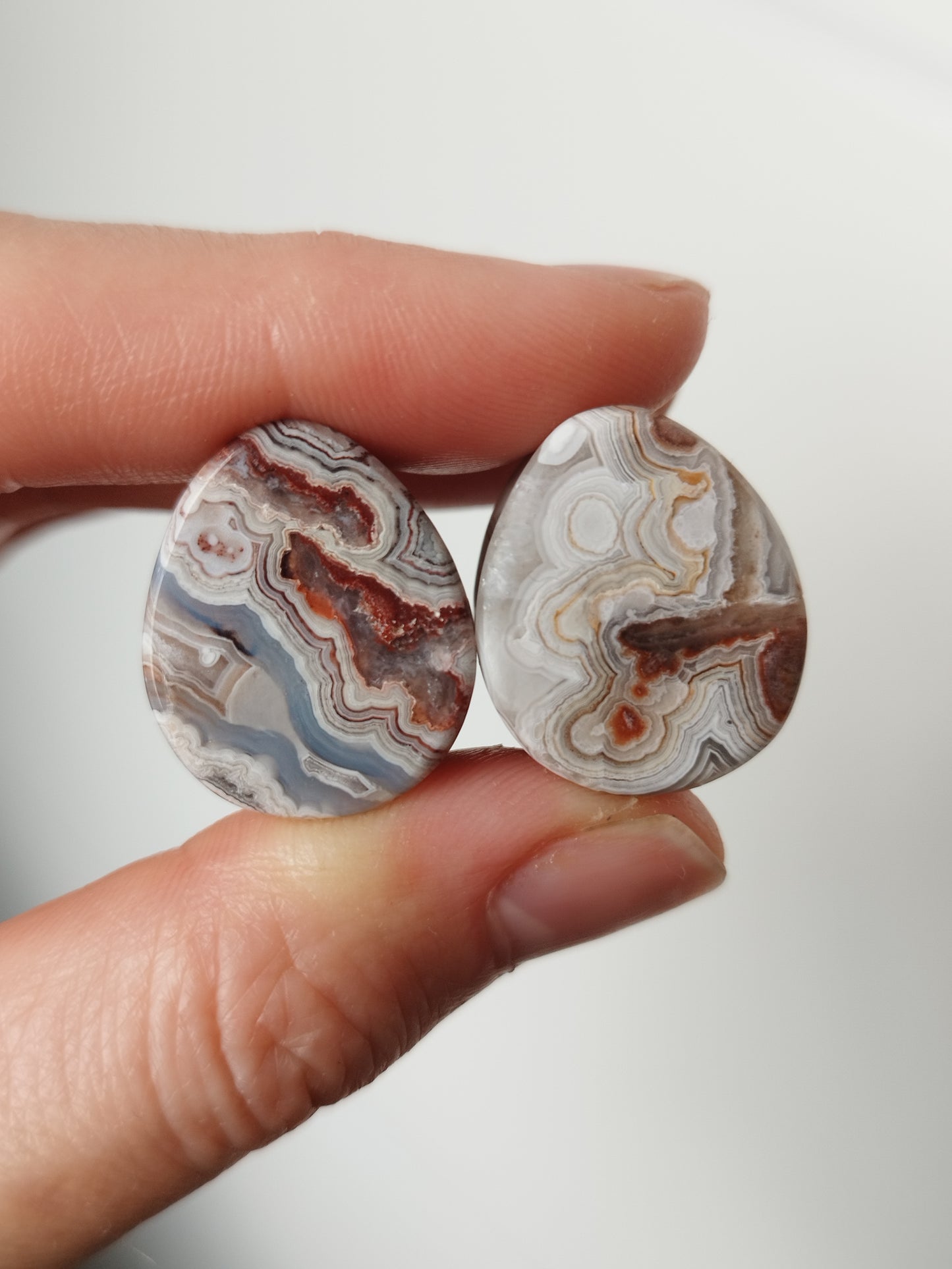3/4" Crazy Lace Agate Tears - aeoplugs