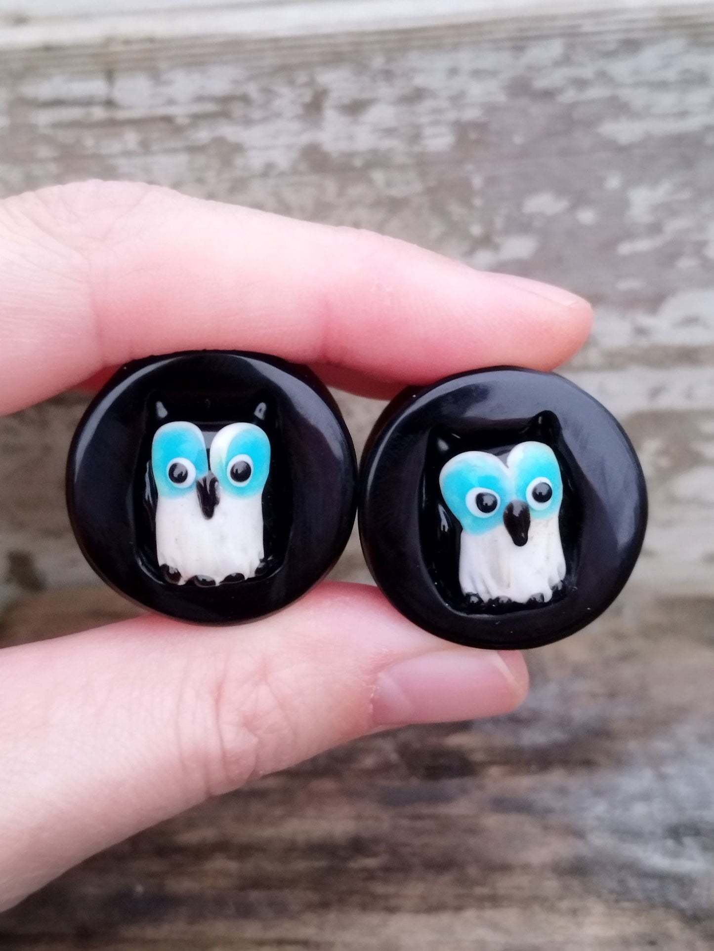 1" Obsidian and Glass Owl Inlay Plugs - aeoplugs