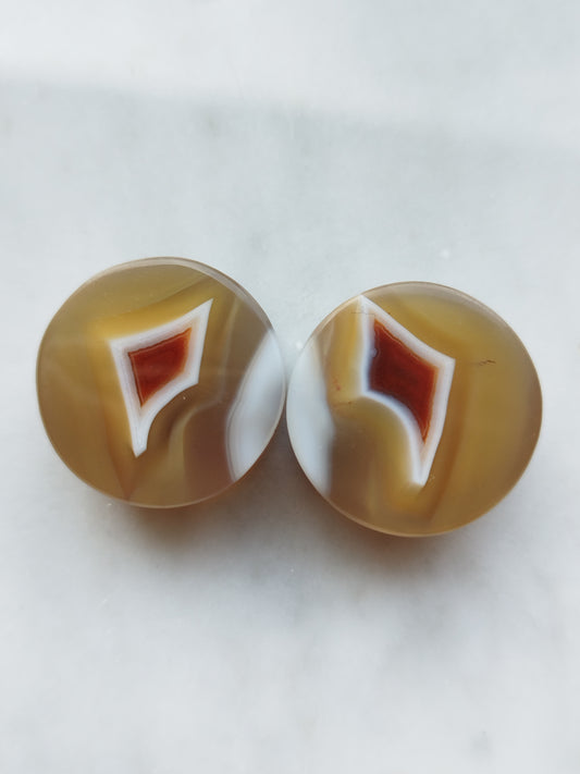 7/8" Malawi Agate Plugs