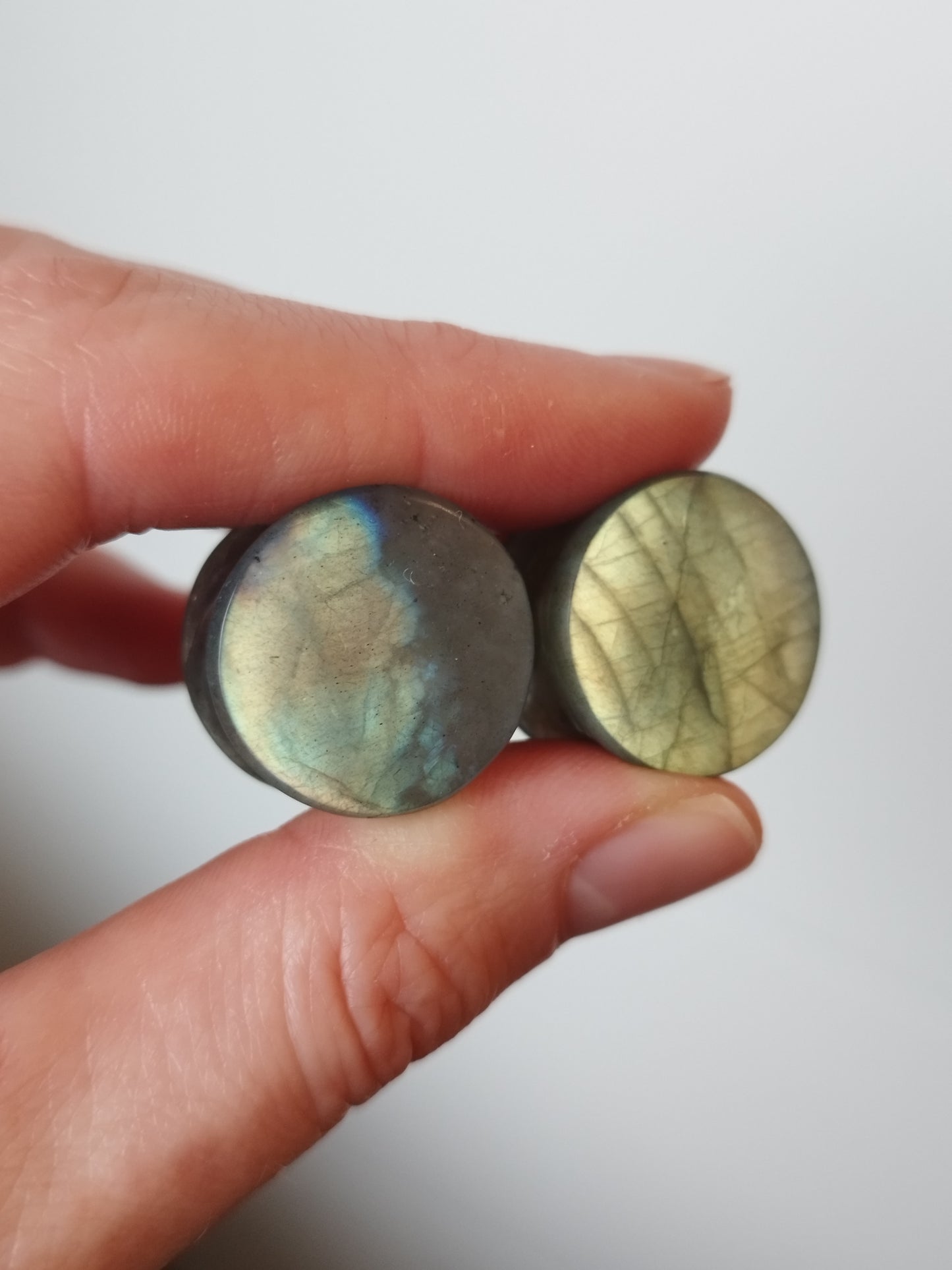 3/4" Blue and Gold Labradorite Plugs