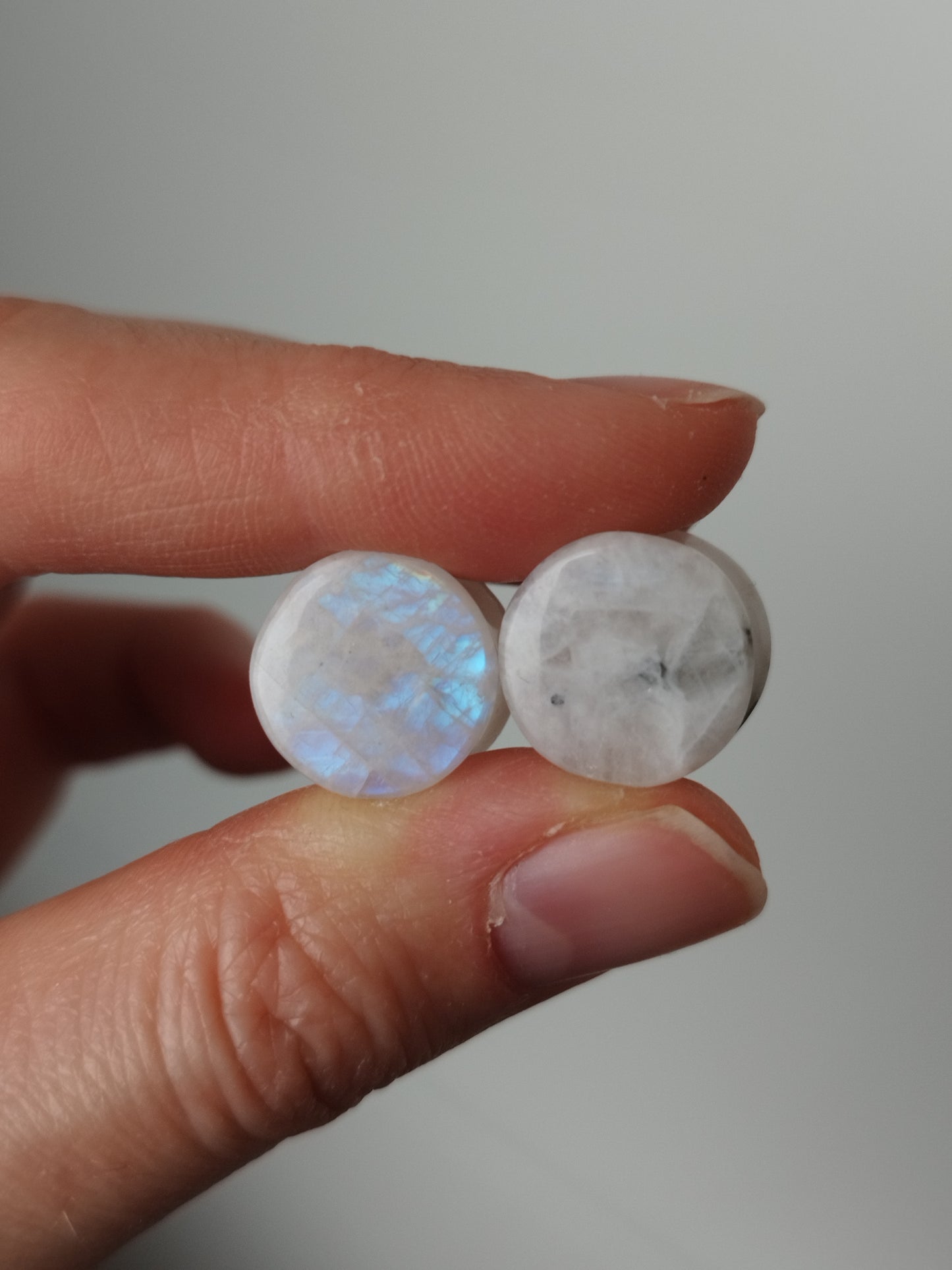 13mm Rainbow Moonstone Plugs